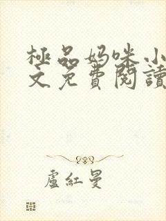 极品妈咪小说全文免费阅读