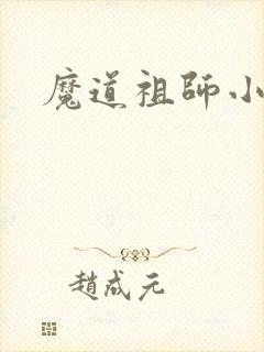 魔道祖师小说封面