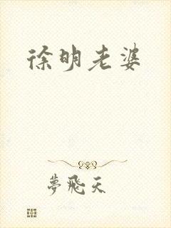 徐明老婆封面