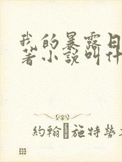 我的暴露日记原著小说叫什么封面