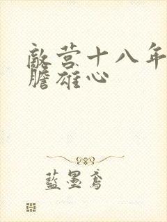 敌营十八年2虎胆雄心封面