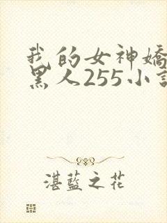 我的女神娇妻与黑人255小说封面