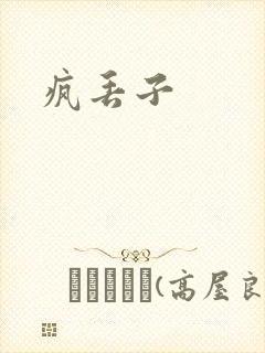 疯丢子封面