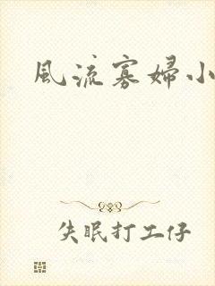 风流寡妇小说封面