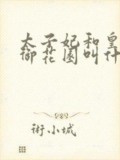 太子妃和皇帝在御花园叫什么小说