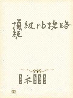 顶级rb攻略系统
