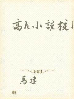 高h小说校园封面