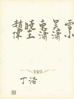 赵晓东吴雪晴郑伟王潇潇小说名字