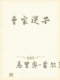 曹家逆子