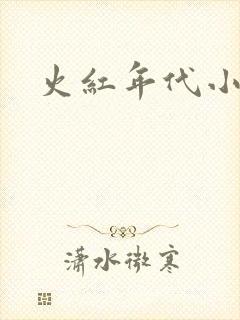 火红年代小说