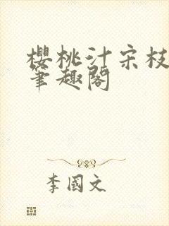 樱桃汁宋枝江野笔趣阁封面