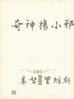 奇神杨小邪封面
