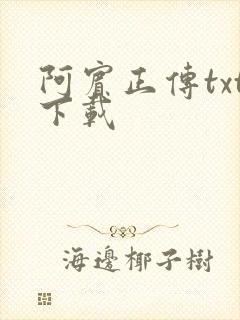 阿宾正传txt下载