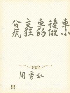 公交车后车座的疯狂的做小