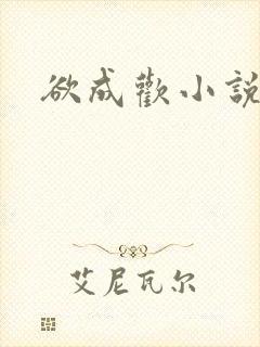 欲成欢小说
