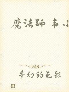 魔法师 韦小宝封面