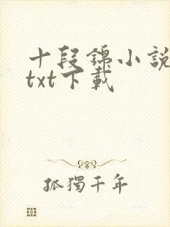 十段锦小说全本txt下载
