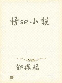 情se小说封面