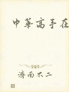 中华高手在异世