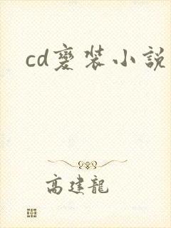 cd变装小说封面