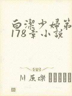 白洁少妇第1一178章小说