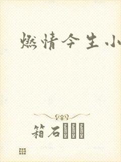 燃情今生小说