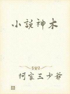 小说神木