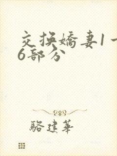 交换娇妻1一36部分