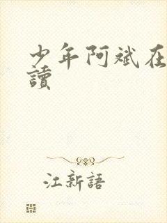 少年阿斌在线阅读