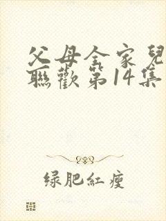 父母全家儿女大联欢第14集