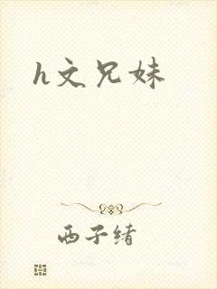 h文兄妹封面