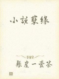 小说孽缘