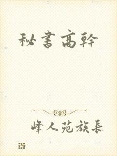 秘书高干