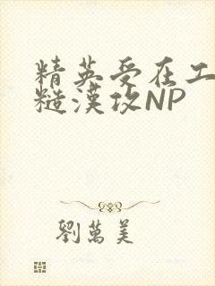 精英受在工地被糙汉攻NP