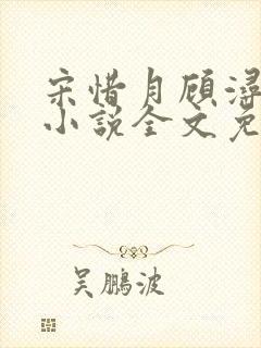 宋惜月顾浔渊的小说全文免费阅读
