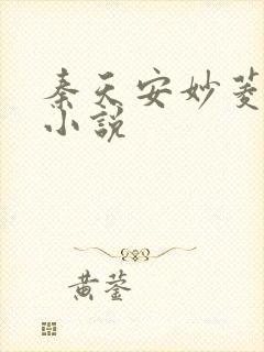 秦天安妙菱修仙小说封面