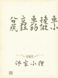 公交车后车座的疯狂的做小封面