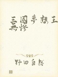 三国梦想王元姬无惨封面