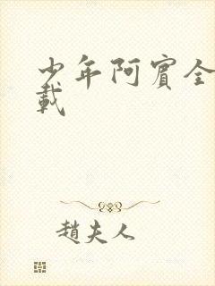 少年阿宾全集下载封面