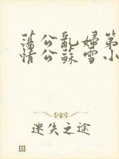 荡公乱妇第1章情公苏雪小说
