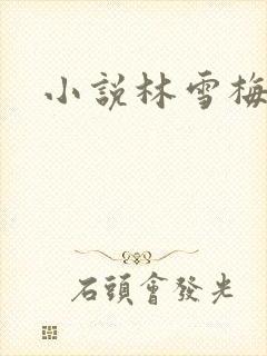 小说林雪梅