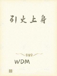 引火上身封面