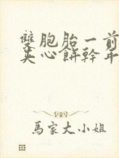 双胞胎一前一后夹心饼干年下