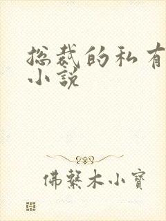 总裁的私有宝贝小说