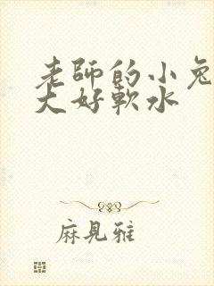 老师的小兔子好大好软水
