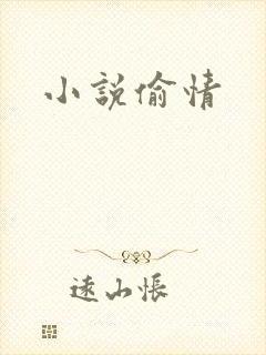 小说偷情封面