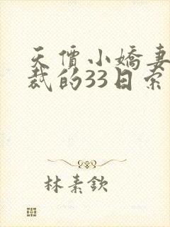 天价小娇妻,总裁的33日索情全文免费封面