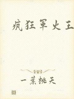 疯狂军火王
