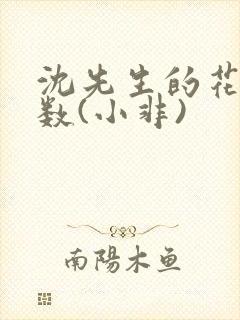 沈先生的花式调数(小非)