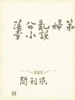 荡公乱妇第51章小说